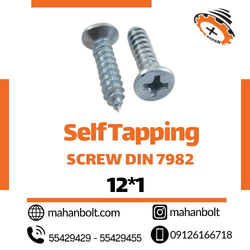 Self Tapping Screw DIN 7982