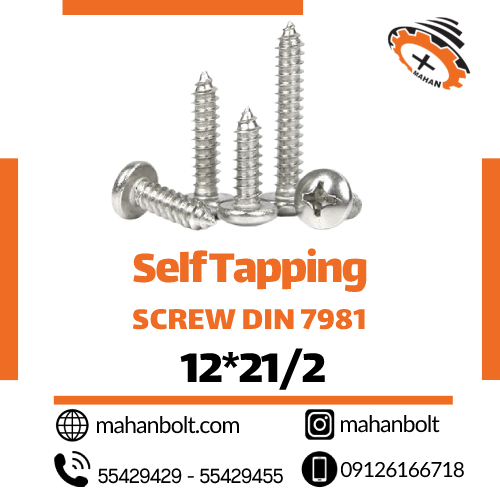 Self Tapping Screw DIN 7981