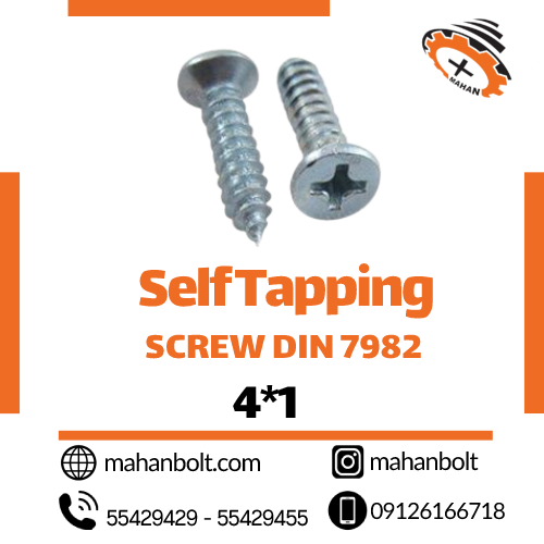 Self Tapping Screw DIN 7982